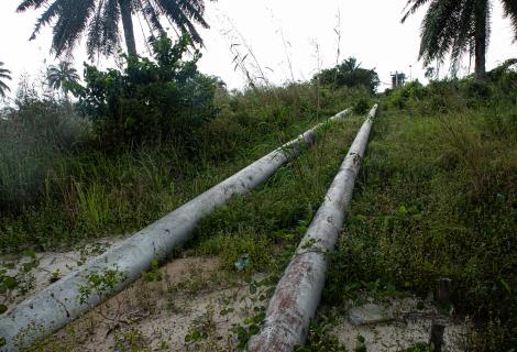 Oil pipelines in the Niger Delta